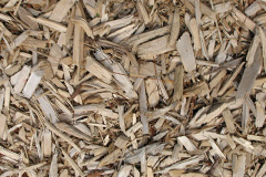 biomass boilers Sheepridge